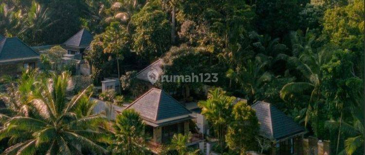 Villa Cantik Swimpool Bonus Tanah Di Ubud Bali 1