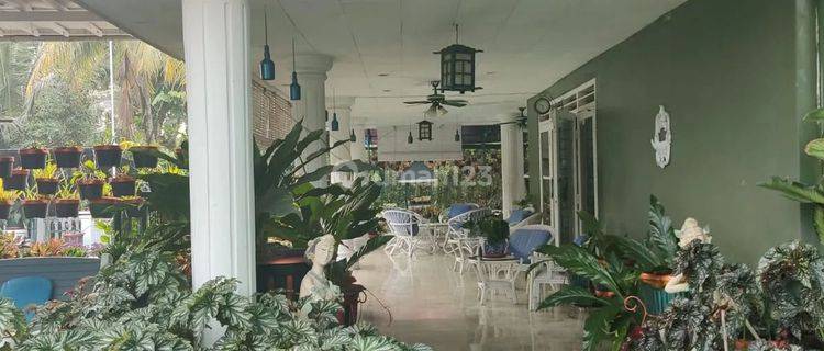 Rumah Villa Istimewa Nyaman di Raya Ciapus  1