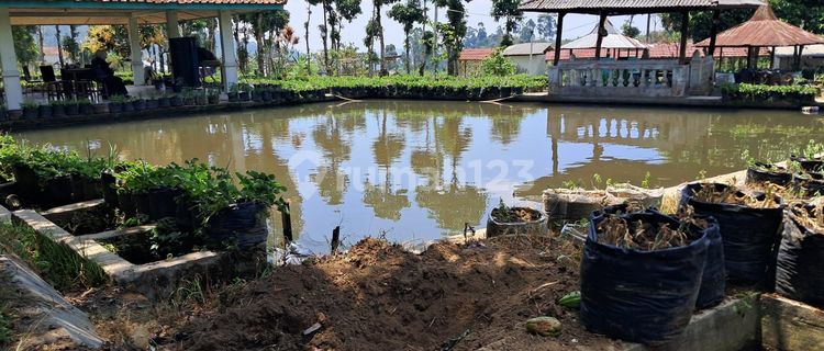 Rumah Rasa Villa Ciwidey Lebak Muncang 1