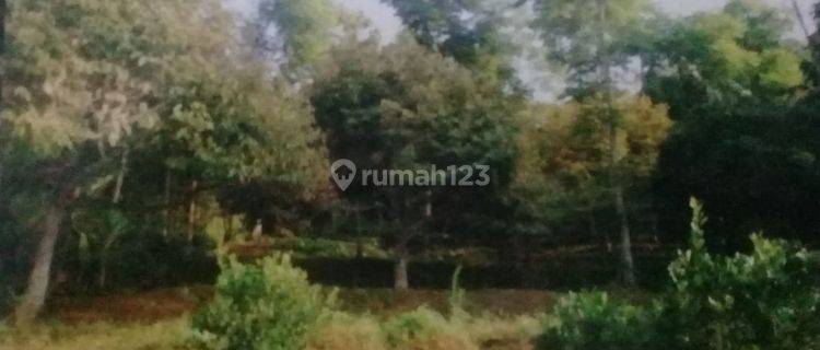 Lahan Tanah Kosong Plus Kebun Dan Villa di Sumedang 1