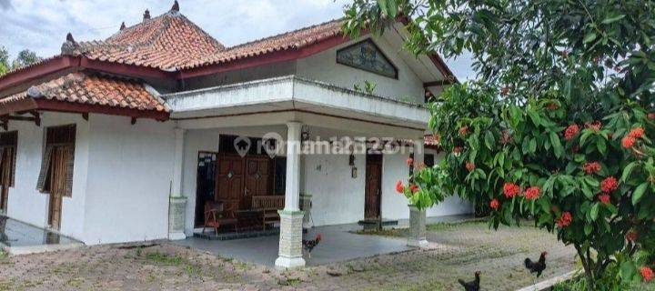 Rumah bagus halama luas 1