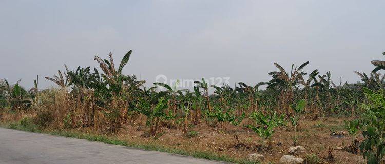  lahan luas untuk industri di kawasan in 1