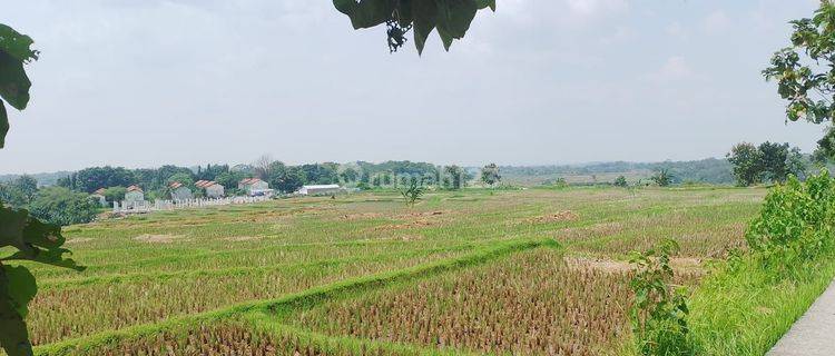 Lahan luas untuk perumahan 1