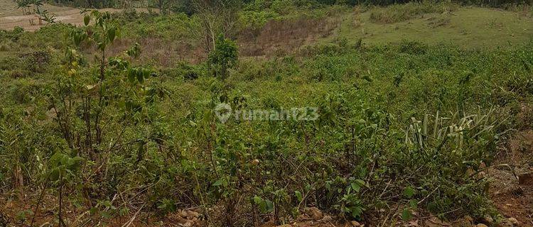 Tanah Luas Pemandangan Perbukitan Cariu Bogor 1