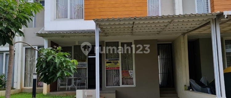 Rent Ivy Park BSB City 1