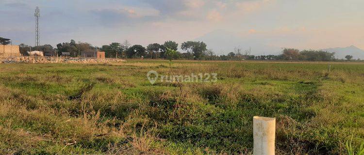 Tanah murah SHM Jungjang Arjawinangun Cirebon 1