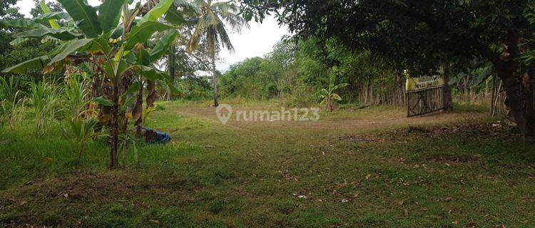 Dijual Tanah Pinggir Pantai 3 Hektare dekat Pantai Impos  1