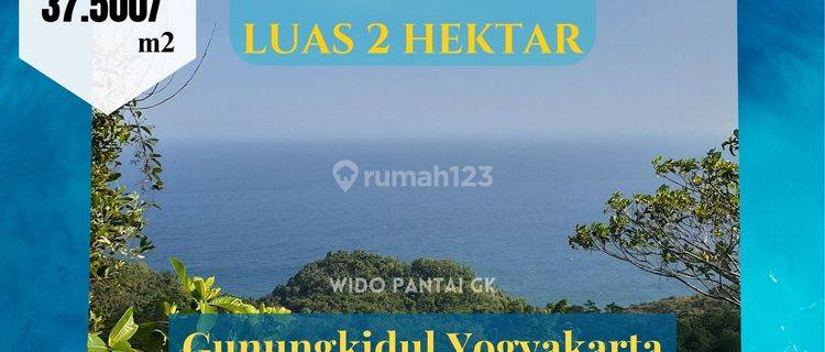 Di Jual Tanah Pantai Bukit, Datar, Tebing Gunungkidul Yogyakarta 1