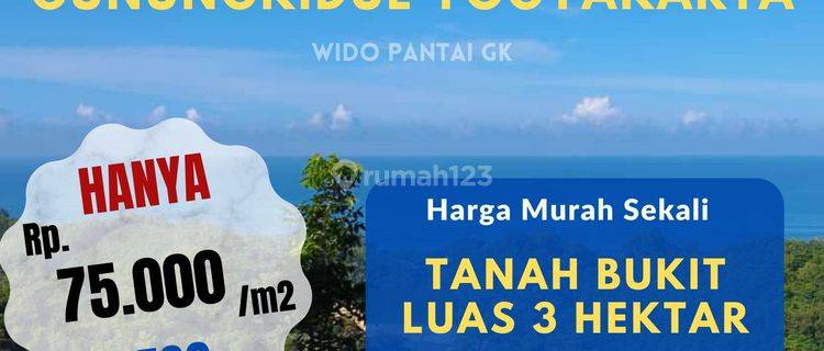 Dijual Tanah Bukit Terasiring Datar Murah Gunungkidul Yogyakarta 1