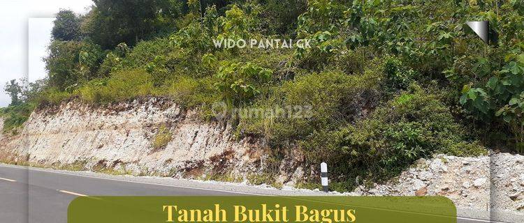 Tanah Pantai Bukit View Laut Pinggir Jjls Gunungkidul Yogyakarta 1