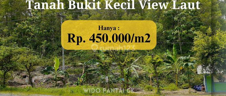 Dijual Tanah Pantai Bukit Pinggir Jalan Raya Pantai Yogyakarta 1