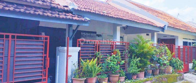 RUMAH BAGUS MURAH SIAP HUNI DI BANTARAN KOTA MALANG 1