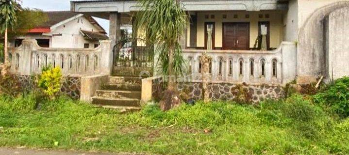 Dijual Cepat! Rumah Bagus Murah Poros Jln Strategis Di Pasuruan 
 1