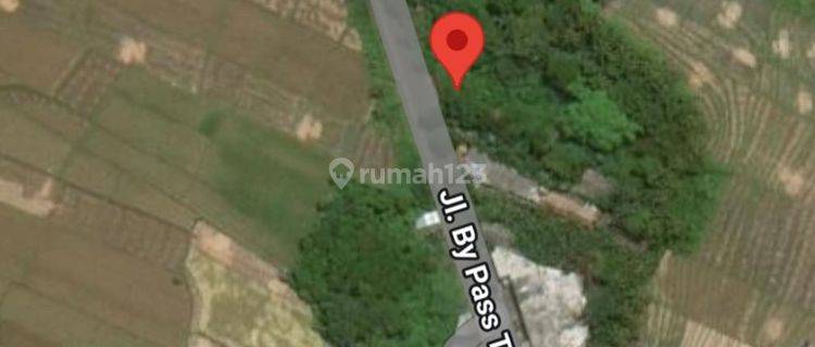 Dijual Tanah View Sawah Dan Jungle Jalan Utama Dekat Pererenan Canggu 1