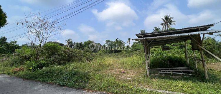 Dijual Segera Lahan Kosong Lokasi Dekat Auri Pekanbaru 1