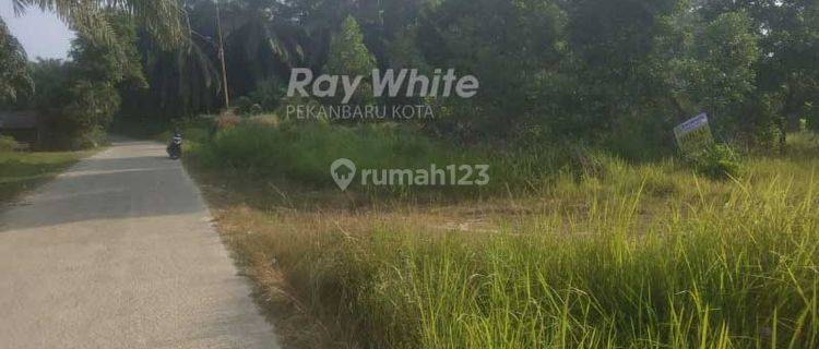 Dijual Tanah Strategis Di Pinggir Jalan Besar Lokasi Simpang Murini Dumai ( Riau ) 1