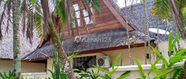 Cottage Di Tanjung Lesung Cocok Untuk Investasi 1