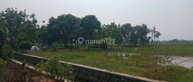 Tanah murah Lokasi Strategis Pebayuran 1