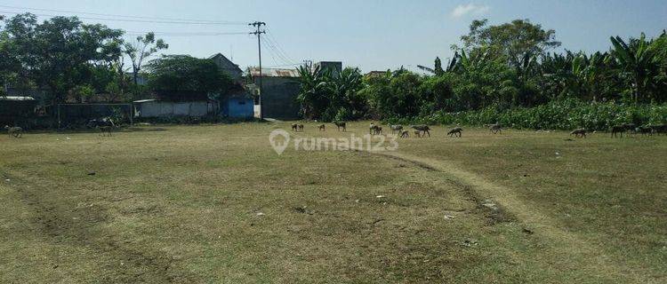 Tanah Jual Jalan Niaga Paciran Kabupaten Lamongan Dekat WBL 1