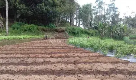 Kavling Cocok Untuk Investasi Dan Berlokasi Bagus di Bojong, Tegal 1