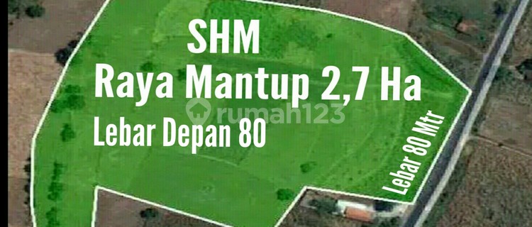 Tanah di Mantup Lamongan  1