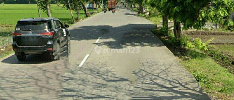 Tanah di Nganjuk 1