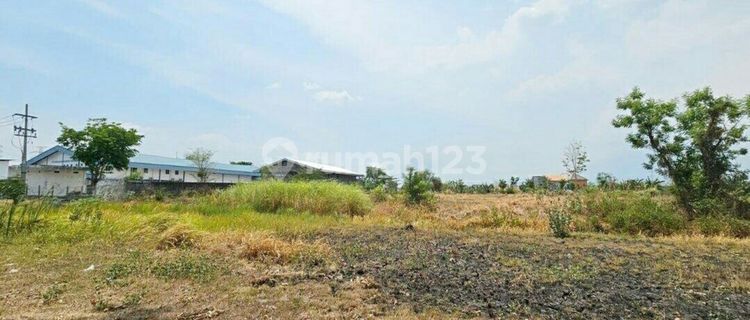 Tanah Di Lingkar Timur Sidoarjo  1