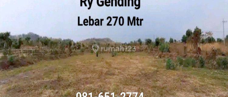 Tanah Di Raya Gending Probolinggo 1