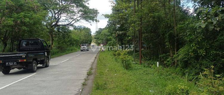 Tanah murah jual cepat Prospek Bagus Muka 30m Mangku Jln Utama Sentolo Brosot 1