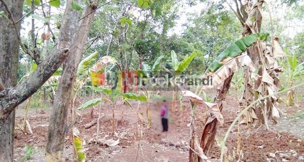 Kavling di Gedawang Banyumanik Semarang 1