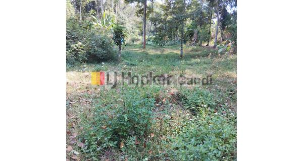 Plot in Sidodadi Mijen Semarang 1
