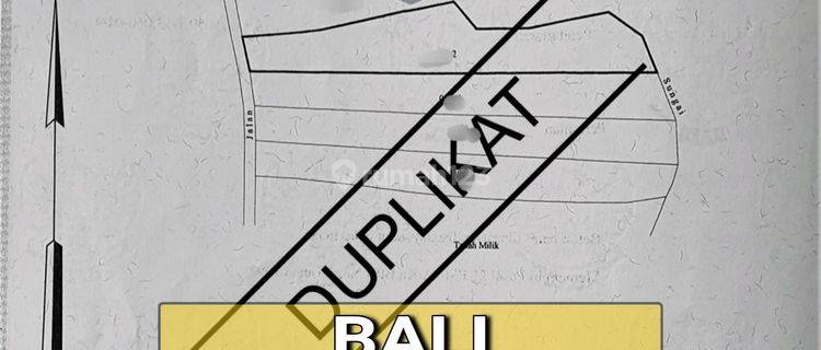 Tanah di Denpasar - Gilimanuk sudah Hak Milik 1