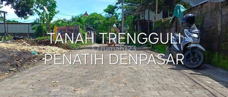 Tanah.kapling Aspek Perumahan.jln.trengguli.denpasar Timur 1