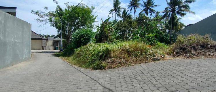 Prime Land For Lease In Mas Ubud,gianyar 1