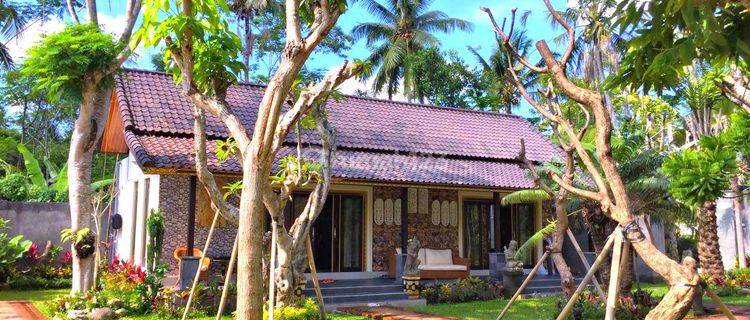 Unique Land With Riverfront Views In Gianyar 1