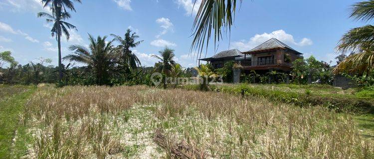 Rare Opportunity Of Exclusive Land In Pejeng, Ubud 1