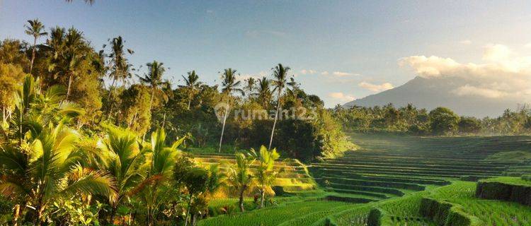 Expansive 5 Hectare Land In Wanagiri, Selemadeg Tabanan 1