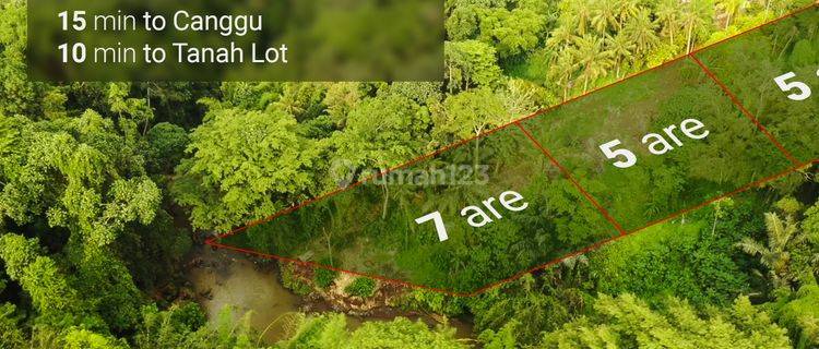 Exclusive Land For Lease Near Nuanu Only 10 Minutes To The Beach 1