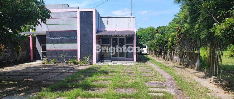 GEDUNG EX SEKOLAH LOKASI STRATEGIS KALASAN NEXT IN OUT TOL JOGJA SOLO 1