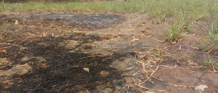 Tanah Lokasi Bagus Serabi Barat Modung Bangkalan Madura . 1