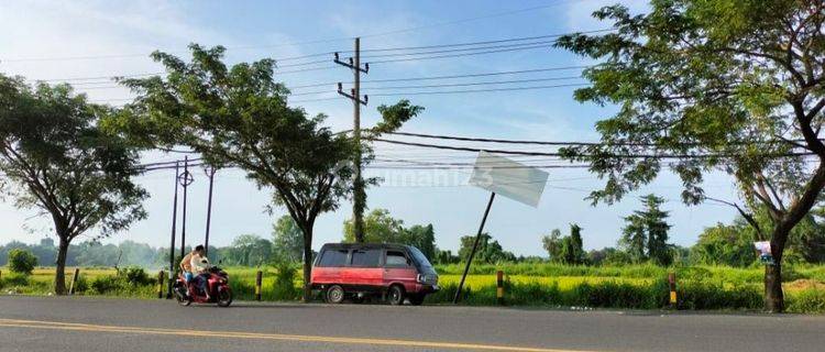 Tanah Raya Burneh Bangkalan Komersial Area. Lokasi Strategis Selangkah Ke By Pas Suramadu. Bangkalan Madura.  1