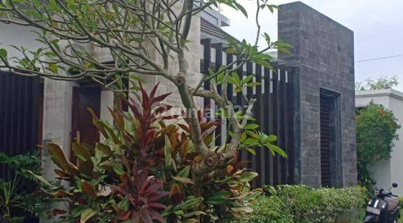 Disewakan Luxury Villa For Lease In Canggu  1