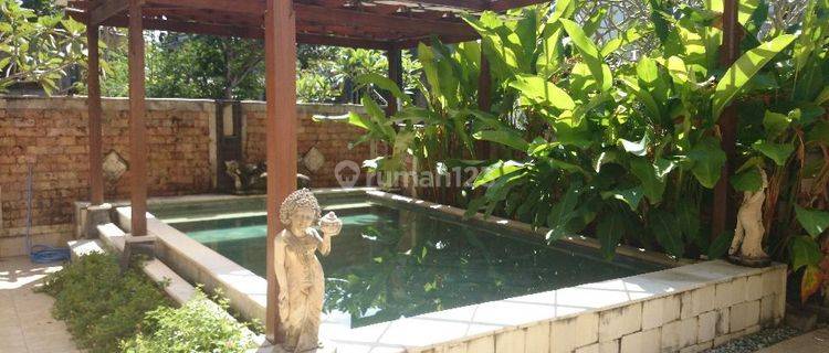 Cozy House for Lease in Nusa Dua 1