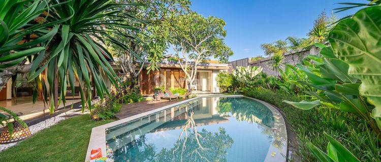 Disewakan Villa di Canggu,lokasi Prime di Lingkungan Tenang 1