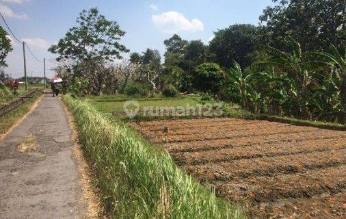 Tanah Strategis Luas Cocok untuk Perumahan di Cekomaria TT 1