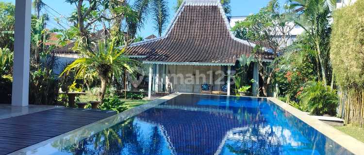 Strategic House in Sanur Denpasar 1