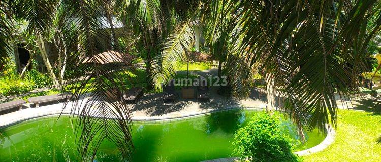 Guesthouse Strategis di Lodtunduh, Lingkungan Asri View Sawah TT 1