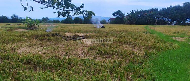 Tanah loss pantai termurah di Gianyar dekat ke denpasar dan kota gianyar  1