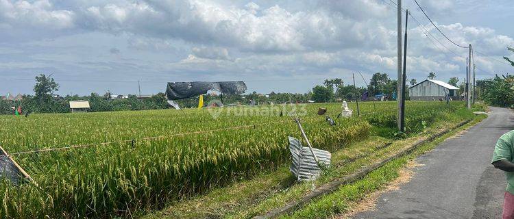 Tanah View Sawah Cantik Di Kerobokan Kelod Cocok Villa 1