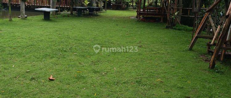 LAND FOR RENT WITH BEAUTIFUL RIVER AND RICE FIELD JUNGLE VIEW IN SUKAWATI 1